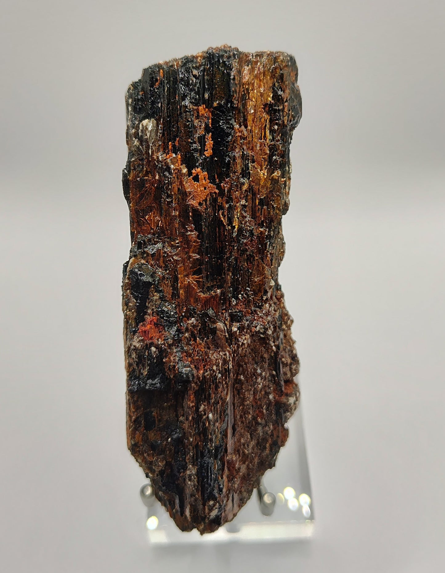 Black Tourmaline Crystal ~ Large Rough Specimen