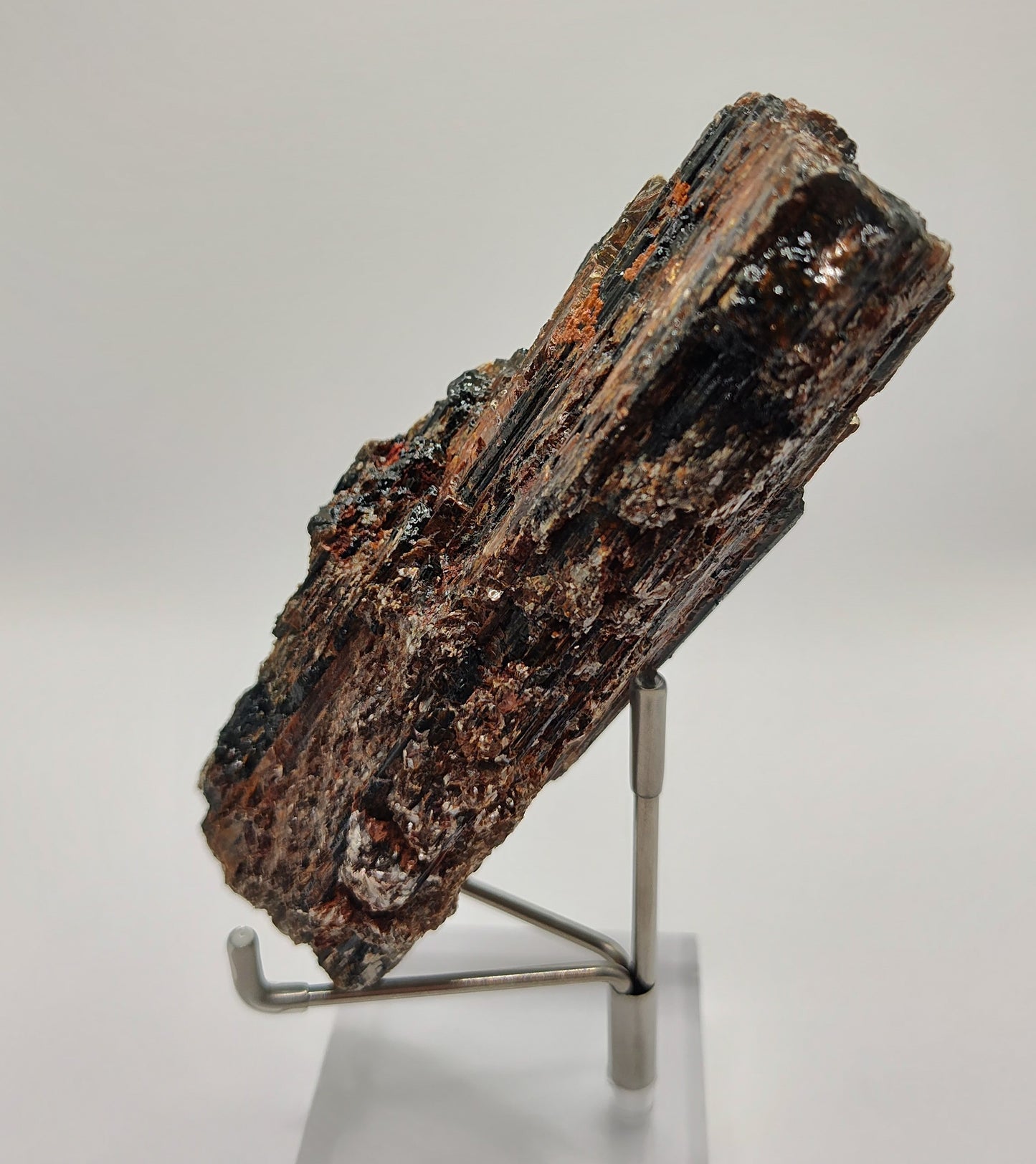 Black Tourmaline Crystal ~ Large Rough Specimen