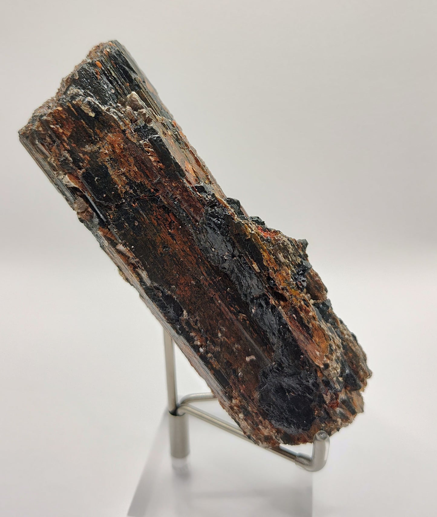 Black Tourmaline Crystal ~ Large Rough Specimen