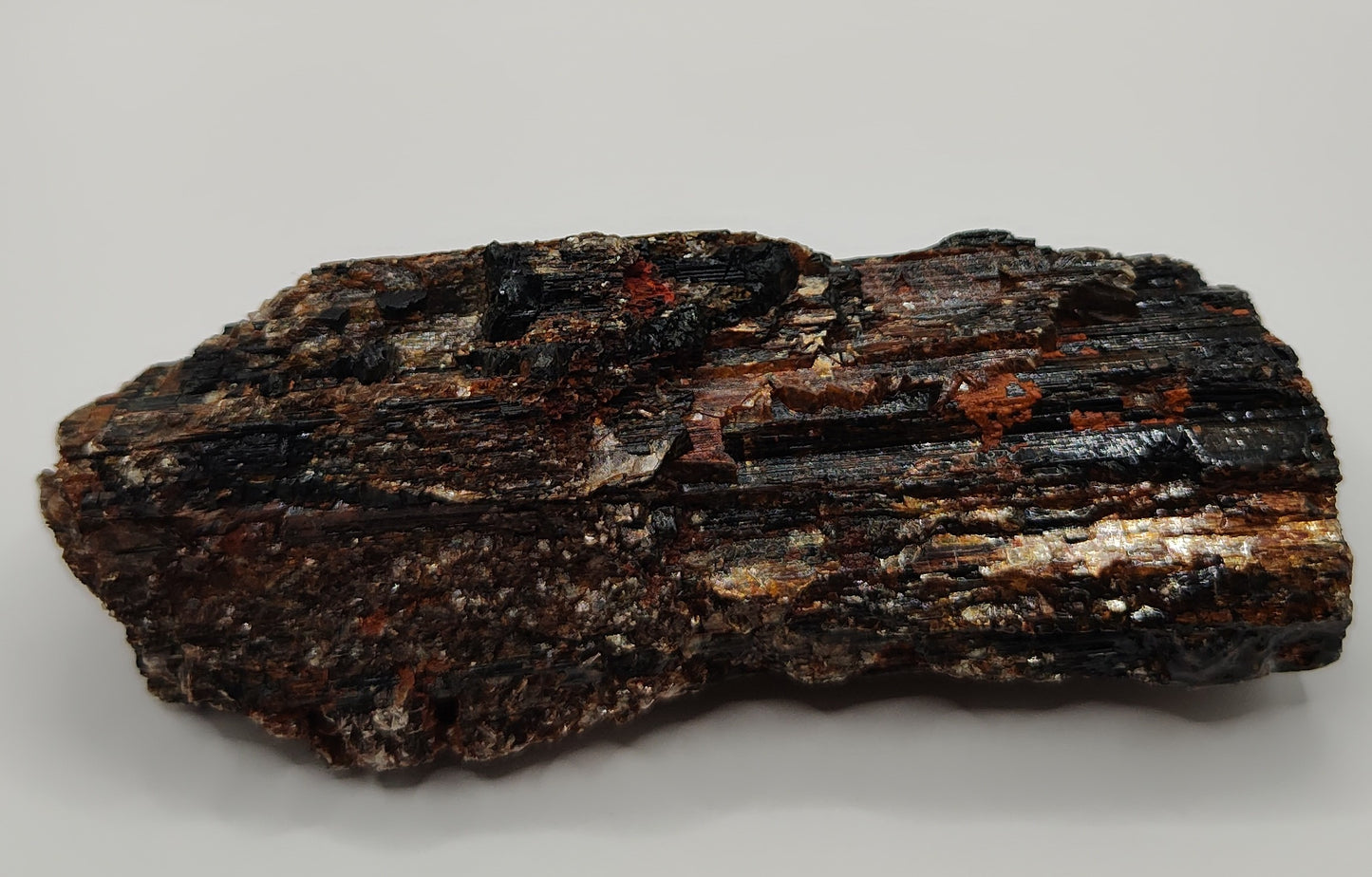 Black Tourmaline Crystal ~ Large Rough Specimen