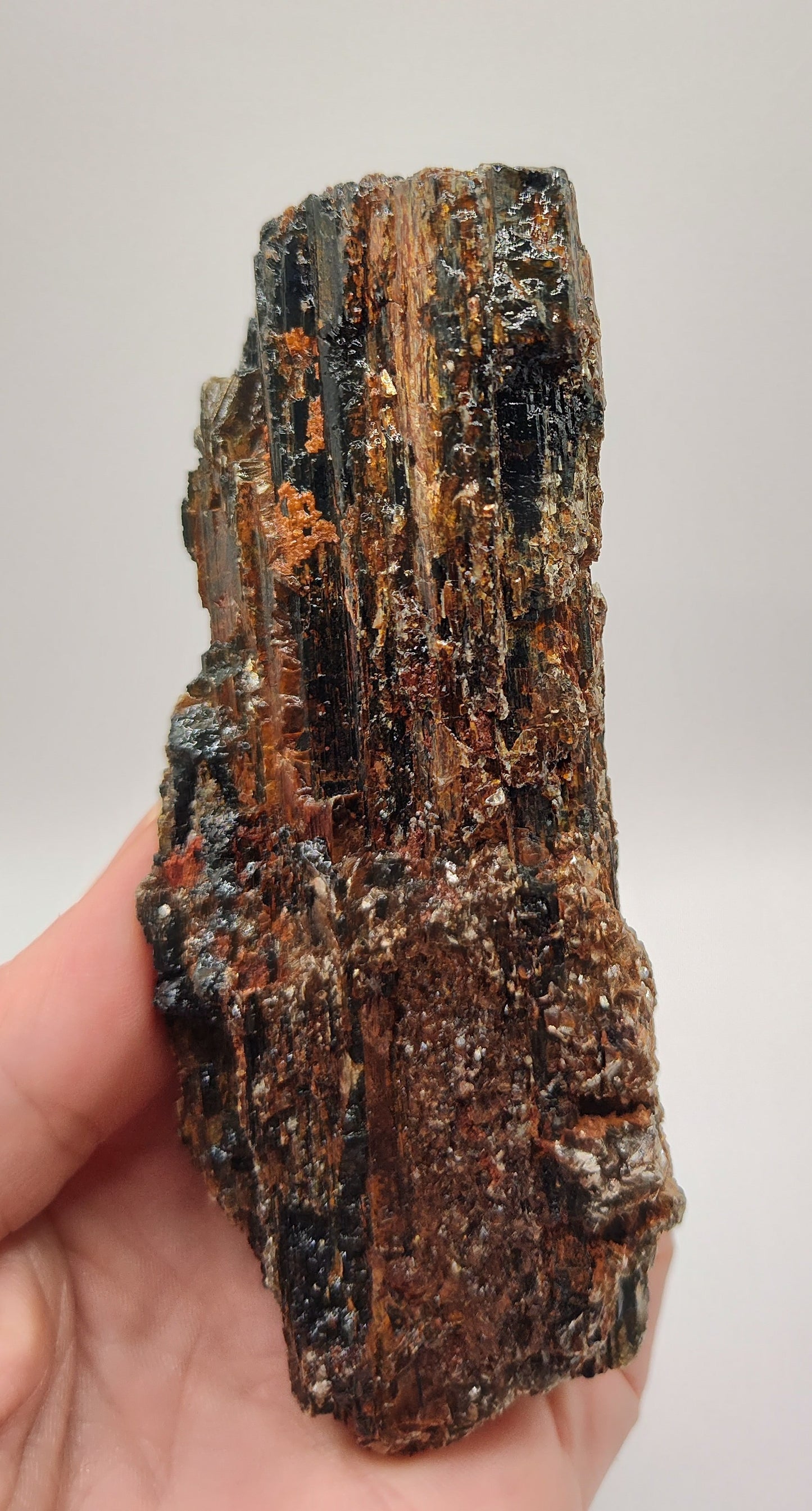 Black Tourmaline Crystal ~ Large Rough Specimen
