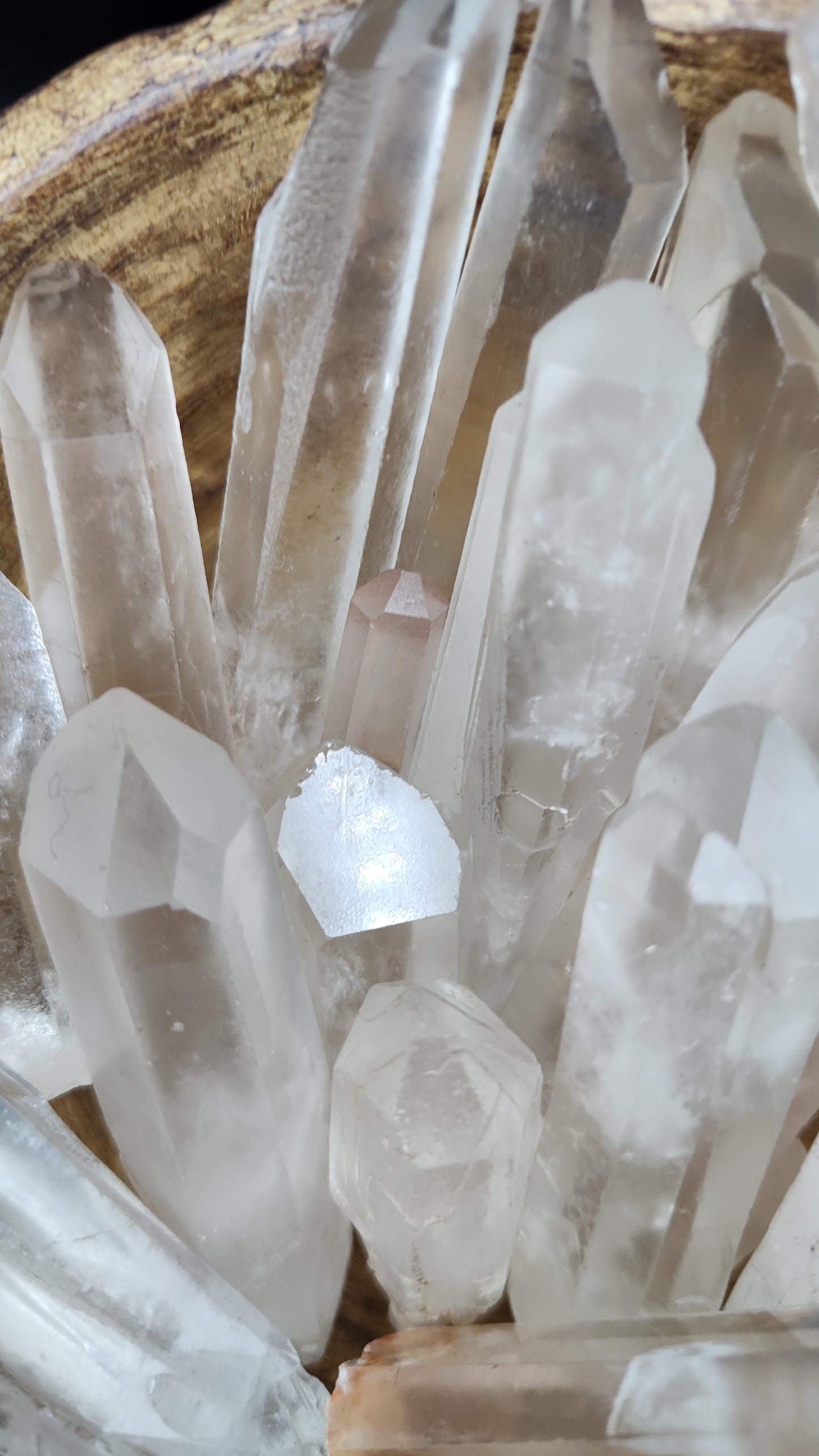 Lemurian Seed Crystal Points