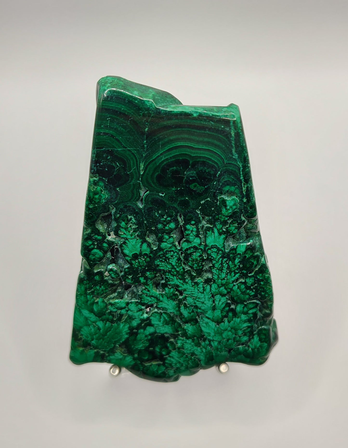 Malachite Slices ~Natural Polished
