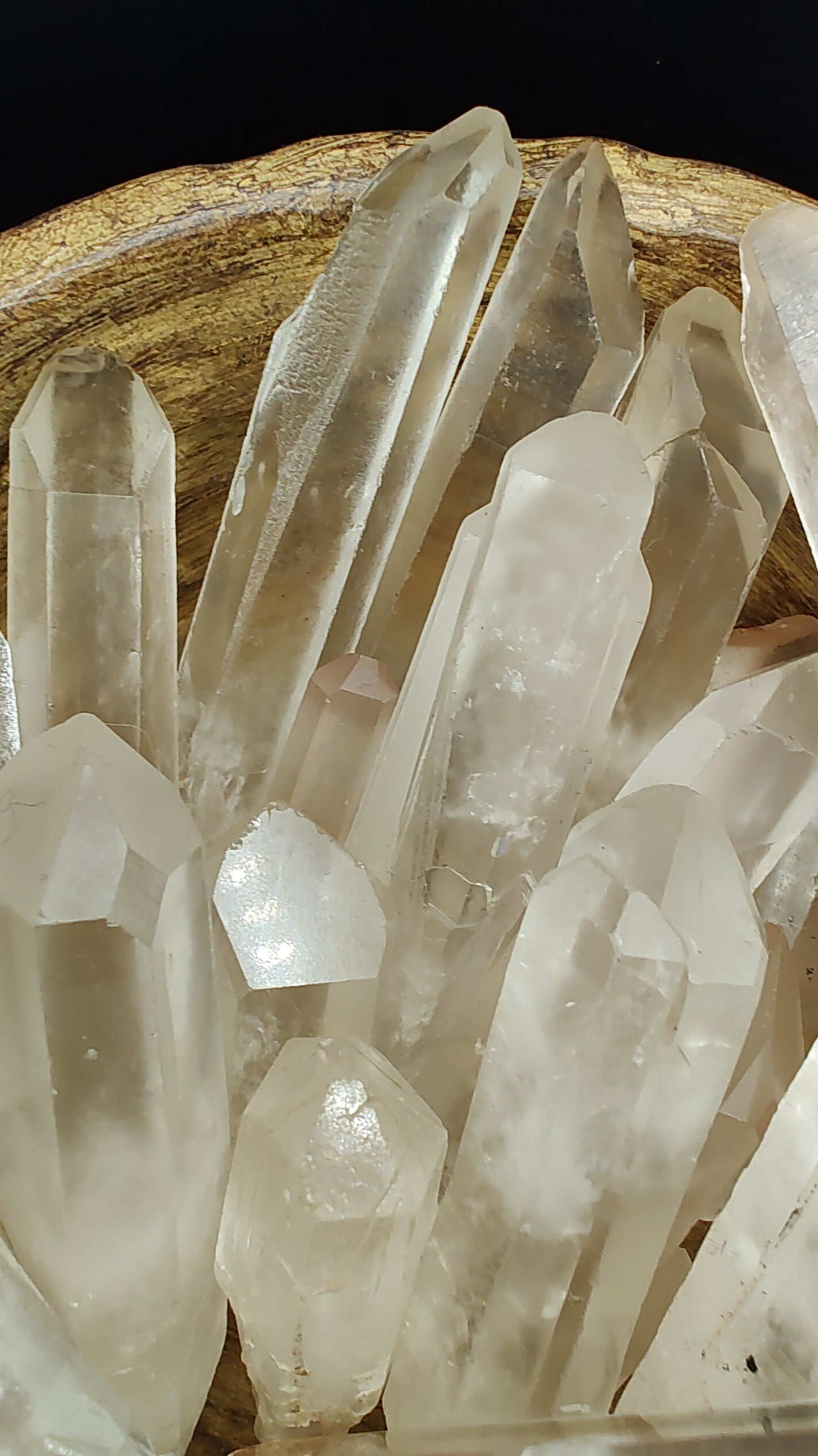 Lemurian Seed Crystal Points