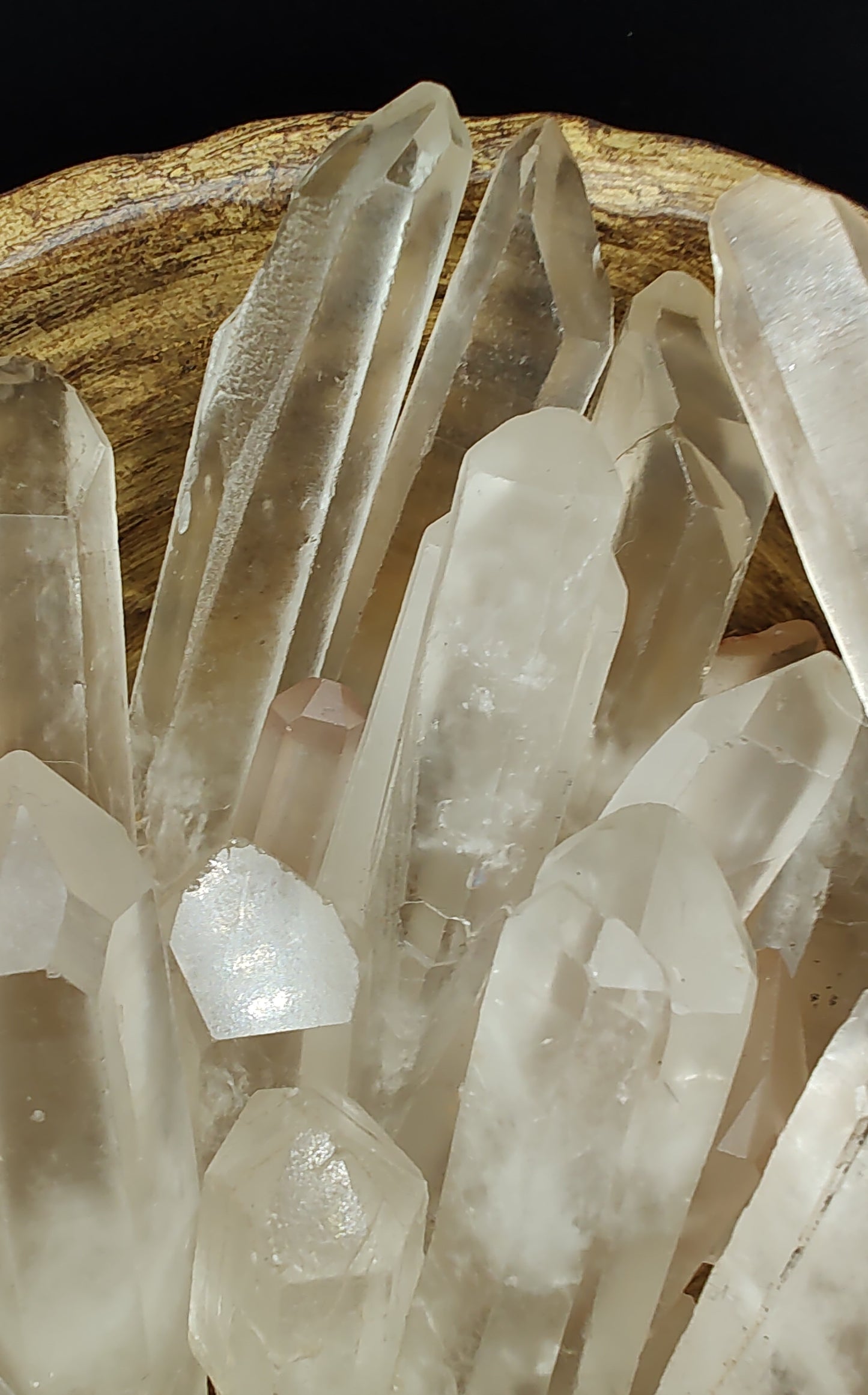 Lemurian Seed Crystal Points