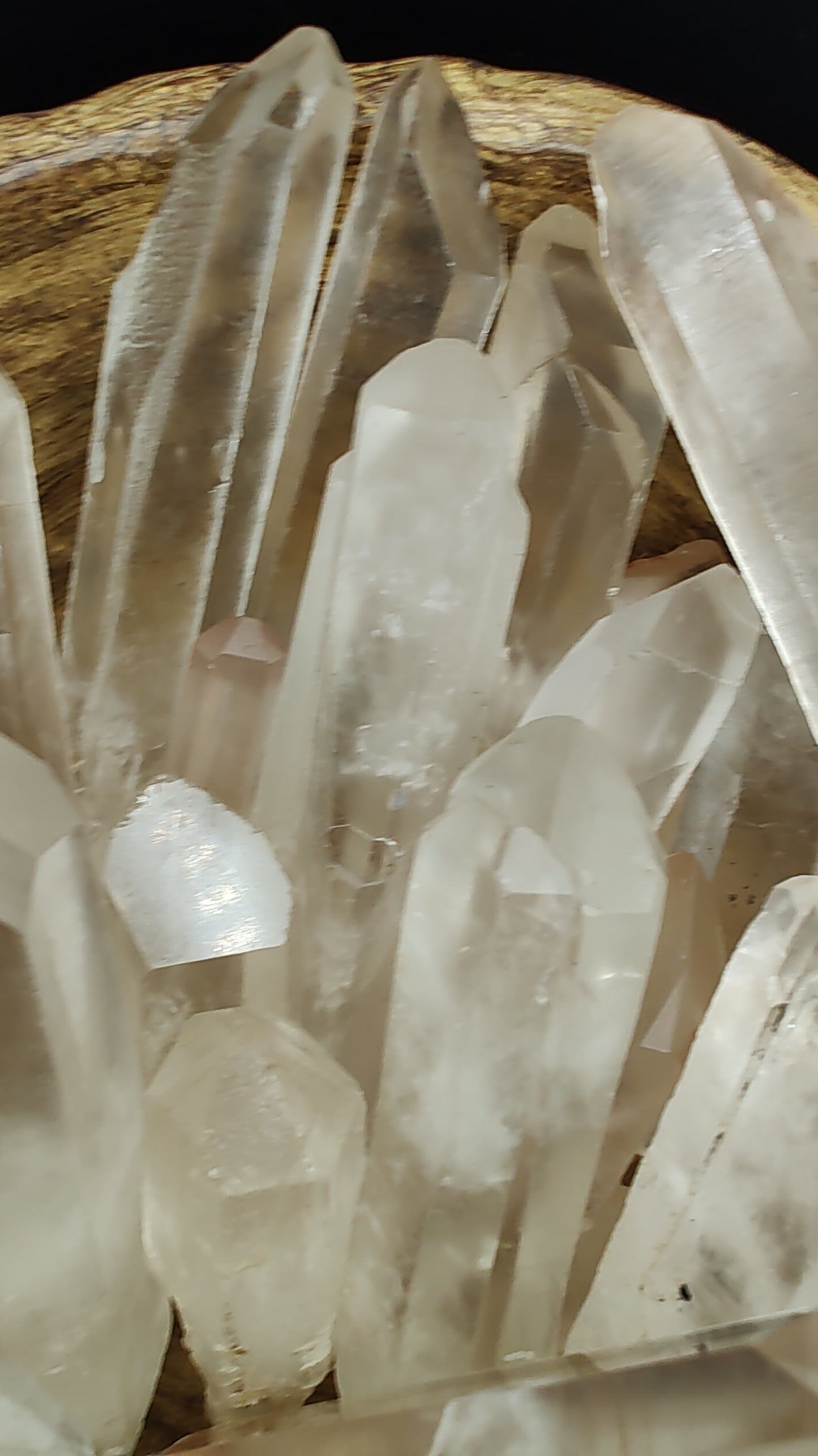 Lemurian Seed Crystal Points